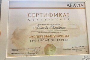 Диплом / сертификат №4 — Благова Екатерина Александровна