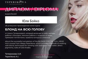 Диплом / сертификат №3 — Бойко Юлия Николаевна