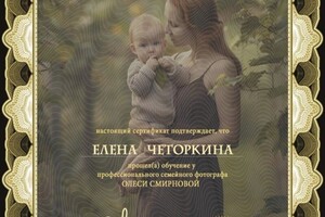 Диплом / сертификат №4 — Четоркина Елена Юрьевна