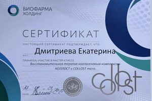 Диплом / сертификат №11 — Дмитриева Екатерина Сергеевна