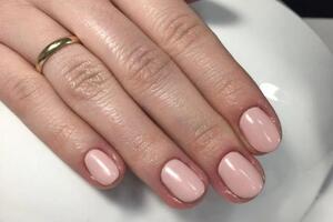 Shellac — Дмитриева Ирина Анатольевна