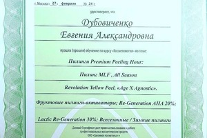 Диплом / сертификат №2 — Дубовиченко Евгения Александровна