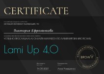 Диплом / сертификат №455 — Ефременкова Виктория Михайловна