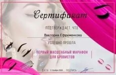 Диплом / сертификат №468 — Ефременкова Виктория Михайловна