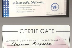 Диплом / сертификат №1 — Ерофеева Светлана Михайловна