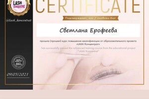 Диплом / сертификат №4 — Ерофеева Светлана Михайловна