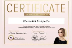 Диплом / сертификат №8 — Ерофеева Светлана Михайловна