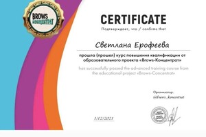 Диплом / сертификат №9 — Ерофеева Светлана Михайловна