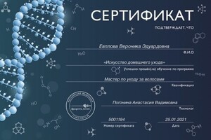 Диплом / сертификат №13 — Евплова Вероника Эдуардовна