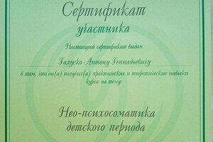 Диплом / сертификат №23 — Галуско Антон Геннадьевич