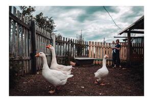 Детская фотосессия за городом — Горушкин Арсений Вячеславович