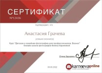 Диплом / сертификат №14 — Грачева Анастасия Александровна