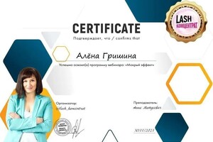 Диплом / сертификат №1 — Гришина Алена Алексеевна