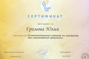 Сертификат участника семинара (2017 г.) — Громова Юлия Николаевна