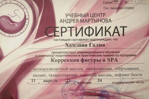 Диплом / сертификат №5 — Хамзина Галия Исмаиловна