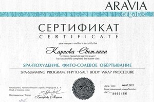 Диплом / сертификат №16 — Карпова Светлана Александровна