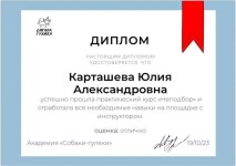 Диплом / сертификат №7 — Карташёва Юлия Александровна