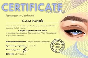 Диплом / сертификат №4 — Кикова Елена Анатольевна