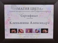 Диплом / сертификат №14 — Кленьшина Александра Анатольевна