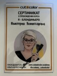 Диплом / сертификат №3 — Комиссарова Виктория Владимировна