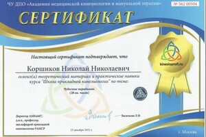 Диплом / сертификат №504 — Коршиков Николай Николаевич