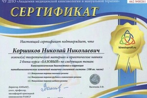 Диплом / сертификат №544 — Коршиков Николай Николаевич