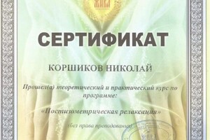 Диплом / сертификат №547 — Коршиков Николай Николаевич