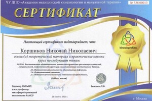 Диплом / сертификат №551 — Коршиков Николай Николаевич