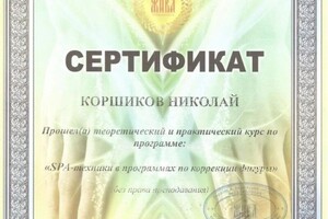 Диплом / сертификат №590 — Коршиков Николай Николаевич