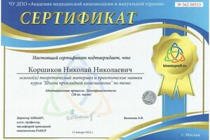 Диплом / сертификат №616 — Коршиков Николай Николаевич