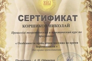 Диплом / сертификат №617 — Коршиков Николай Николаевич