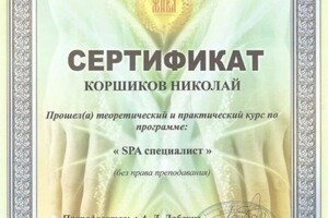 Диплом / сертификат №623 — Коршиков Николай Николаевич