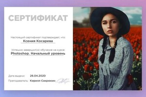 Диплом / сертификат №6 — Косарева Ксения Сергеевна