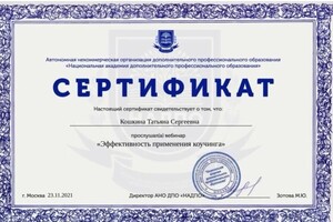 Диплом / сертификат №14 — Кошкина Татьяна Сергеевна