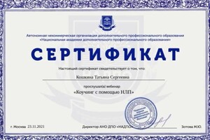 Диплом / сертификат №15 — Кошкина Татьяна Сергеевна