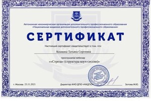 Диплом / сертификат №16 — Кошкина Татьяна Сергеевна