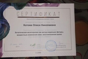 Диплом / сертификат №15 — Котова Олеся Николаевна