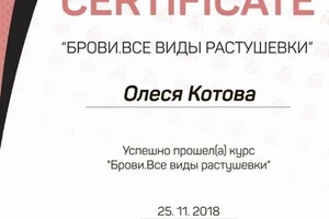 Диплом / сертификат №35 — Котова Олеся Николаевна