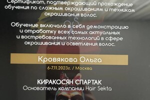 Диплом / сертификат №5 — Козаченко Ольга Александровна