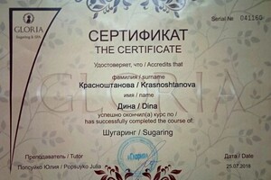 Диплом / сертификат №13 — Красноштанова Дина Викторовна