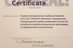 Сертификат участника семинара — Лазарева Оксана Владимировна