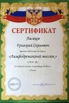 Диплом / сертификат №6 — Лисяков Григорий Сергеевич