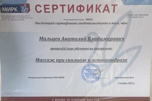 Диплом / сертификат №33 — Мальцев Анатолий Владимирович