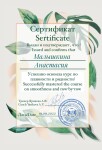 Диплом / сертификат №1 — Малышкина Анастасия Евгеньевна