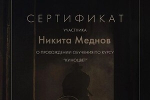 Диплом / сертификат №6 — Меднов Никита Олегович