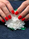 Классический маникюр, покрытие гель лак Evo2 biosculpturegel — Медведева Наталья Валентиновна