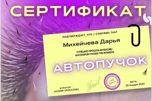 Диплом / сертификат №2 — Михейчева Дарья Алексеевна