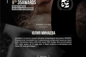 Диплом / сертификат №3 — Минаева Юлия Геннадьевна