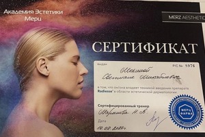 Диплом / сертификат №11 — Мокина Светлана Михайловна