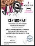 Диплом / сертификат №5 — Морозова Юлия Михайловна